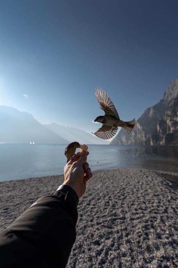 Le Calle Holiday Apartments Torbole Sul Garda Zewnętrze zdjęcie
